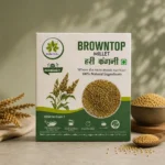 Brown Top Millet (Hari Kangni)